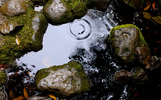 革の天敵「水」対策