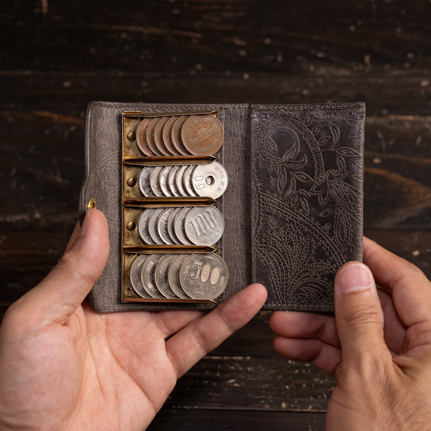 Coin Catcher: [Paisley]