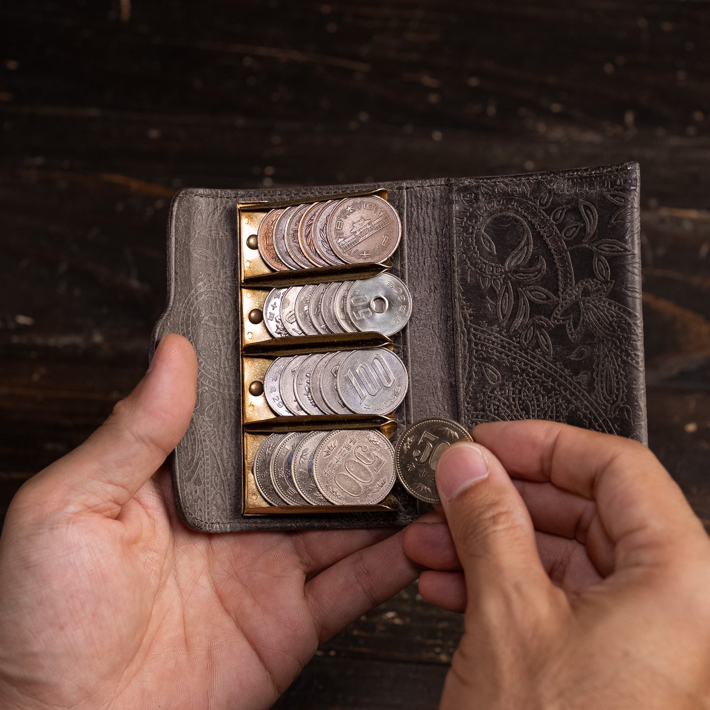 Coin Catcher: [Paisley]